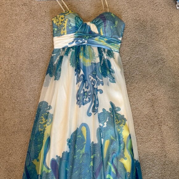 Cache Paisley Maxi Dress. Dress size 4 - Picture 4 of 5